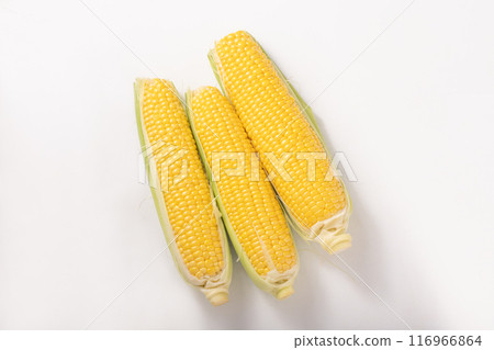 [宮城縣] 玉米品種：夢想未來 116966864