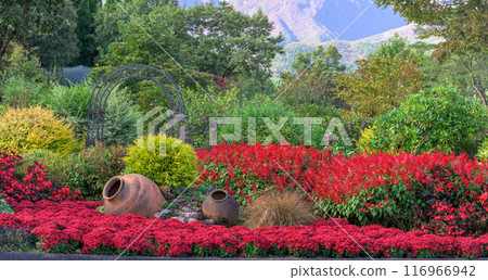 Salvia flowers and fresh greenery seen from the promenade at Kuju Flower Park in Taketa, Oita Prefecture 116966942