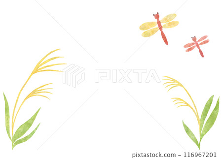 Watercolor dragonfly and silver grass vector illustration 116967201