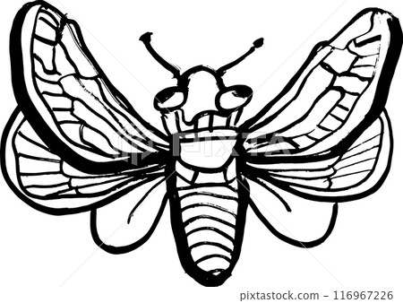 Grunge Hand Drawn Ink Brush Night Moth 116967226