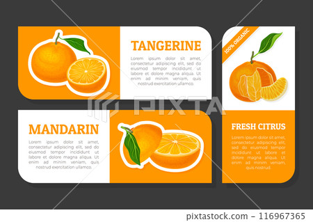 Mandarin Ripe Fruit Product Label Design Vector Template Mandarin Ripe Fruit Product Label Design Vector Template 116967365