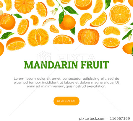 Mandarin Ripe Fruit Banner Design with Exotic Plant Vector Template 116967369