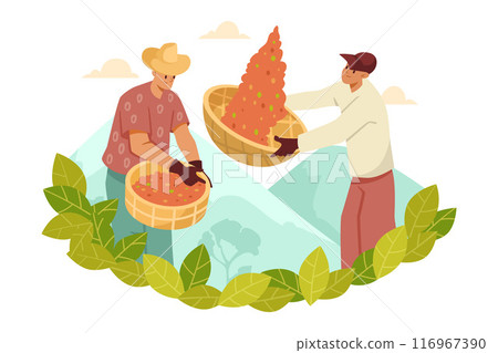 Man Character Harvest Coffee Fruit with Basket Vector Illustration Man Character Harvest Coffee Fruit with Basket Vector Illustration 116967390