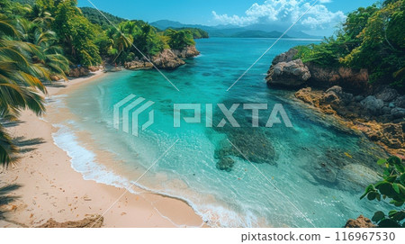 The idyllic tropical paradise beach has, clear waters and white sand, and palm trees The idyllic tropical paradise beach has, clear waters and white sand, and palm trees 116967530