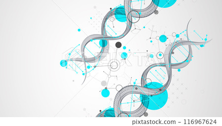 Abstract futuristic wireframe background for design works.Science template, wallpaper or banner with a DNA molecules. Hand drawn. 116967624