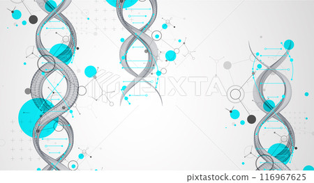 Abstract futuristic wireframe background for design works.Science template, wallpaper or banner with a DNA molecules. Hand drawn. 116967625