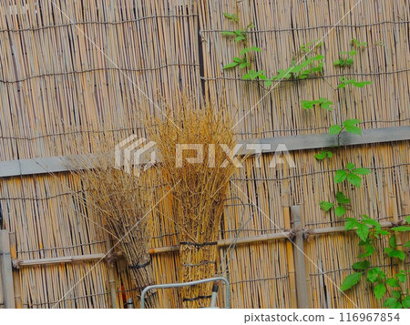 Tokyo - Reed screen and high broom Tokyo - Reed screen and high broom 116967854