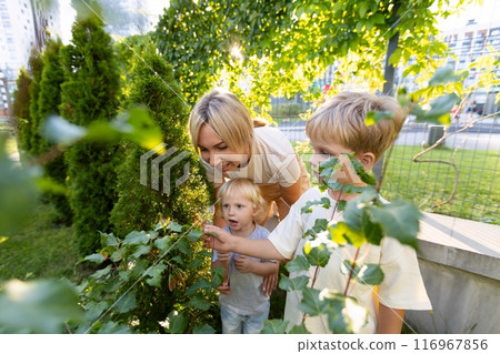 Joyful Mother and Two Young Sons Exploring Nature in Sunny Playground Setting Joyful Mother and Two Young Sons Exploring Nature in Sunny Playground Setting 116967856