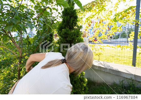 Mother Engaging With Her Two Sons While Playing on a Playground Surrounded by Greenery in Bright Mother Engaging With Her Two Sons While Playing on a Playground Surrounded by Greenery in Bright 116967884