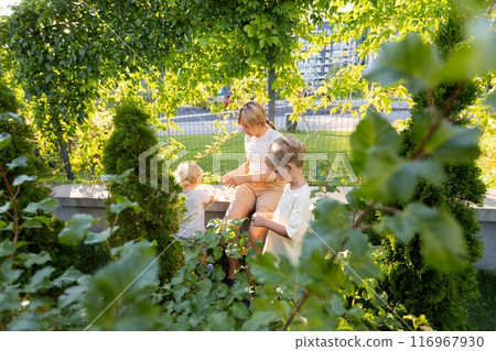 Mother Enjoying Quality Time With Her Two Sons at the Playground During a Sunny Afternoon Mother Enjoying Quality Time With Her Two Sons at the Playground During a Sunny Afternoon 116967930