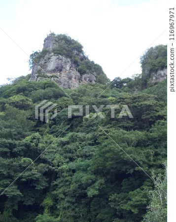 Yabakei Yabakei 116967971