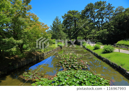 Ritsurin Garden, Takamatsu City, Kagawa Prefecture 116967993