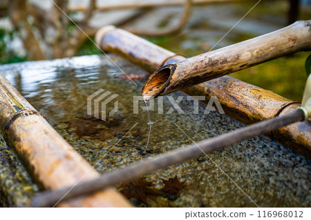 Bamboo water flow in Japanese shrine 116968012