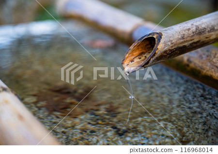 Bamboo water flow in Japanese shrine 116968014
