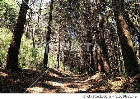 Tachibanayama Tachibanayama 116968179