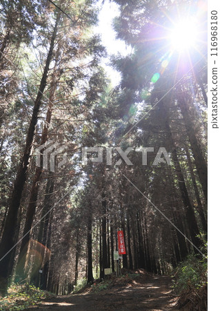 立花山 立花山 116968180