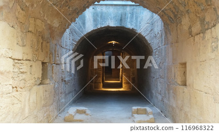 El Jem 露天劇場的地下通道，以及角鬥士和動物等待輪到的前廳 [突尼斯] 116968322