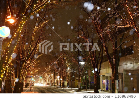 新潟光之盛典（新潟縣） 116968490