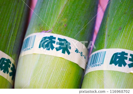 Corn Future Fukaya 116968702