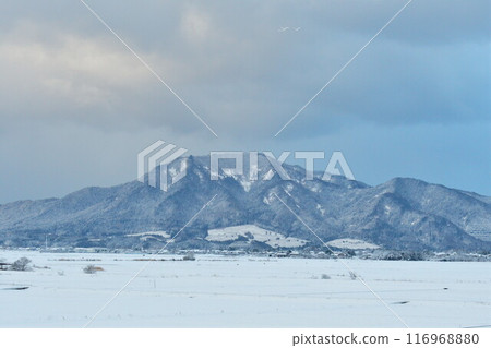 Snow-covered Mount Yahiko and Mount Kakuta (Niigata Prefecture) 116968880