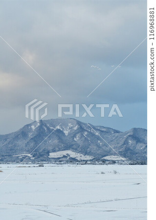 Snow-covered Mount Yahiko and Mount Kakuta (Niigata Prefecture) 116968881