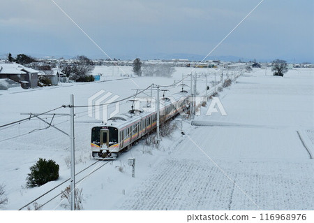 冬季的越後線(新潟縣) 冬季的越後線(新潟縣) 116968976