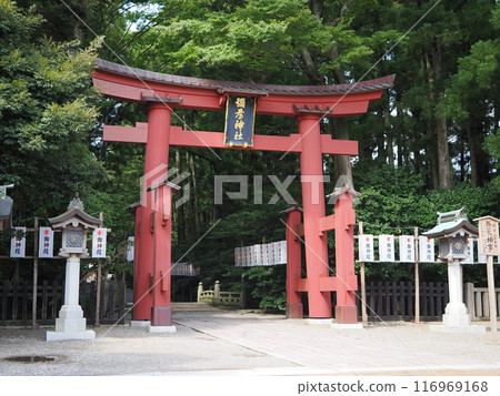 彌彥元宵節期間的彌彥堂市鳥居 彌彥元宵節期間的彌彥堂市鳥居 116969168