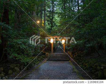 Torii gate on the approach to Yahiko Shrine during the Yahiko Lantern Festival Torii gate on the approach to Yahiko Shrine during the Yahiko Lantern Festival 116969184
