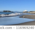 Enoshima Island seen from Shichirigahama Beach, Mount Fuji covered in snow, and seagulls 116969240