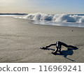 The sand, driftwood and white waves shining in the morning sun at Shichirigahama 116969241