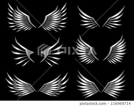 6 根羽毛套裝，銀色 116969714