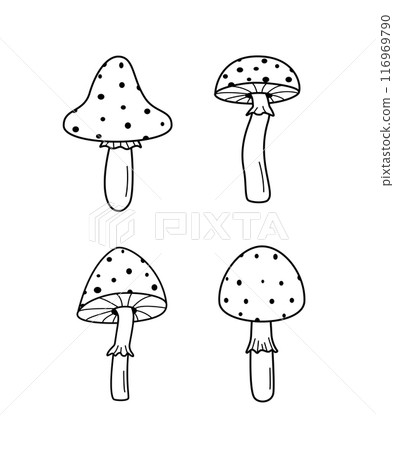 A set of poisonous fly agaric mushrooms. Vector illustration of the doodle style icon. 116969790