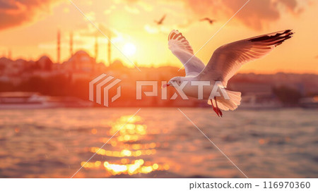 A seagull flying over the water at sunset. Close-up on the background of the city A seagull flying over the water at sunset. Close-up on the background of the city 116970360