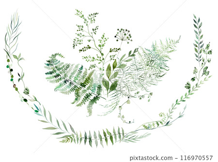 Wreath and bouquet with Watercolor fern twigs with green leaves isolated illustration, botanical wedding 116970557