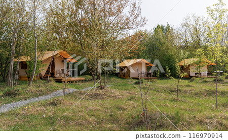 Cozy open glamping tents with light inside in summer camp. Camping tent for holiday and vacation 116970914
