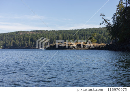 Isolated tree on misty island in water Isolated tree on misty island in water 116970975