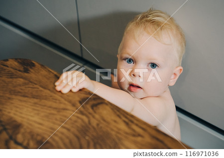 Portrait of adorable baby boy, boy with white hair and blue eyes looking at camera. Caucasian white child, face of cute toddler standing near kitchen table. Portrait of handsome baby. Portrait of adorable baby boy, boy with white hair and blue eyes looking at camera. Caucasian white child, face of cute toddler standing near kitchen table. Portrait of handsome baby. 116971036
