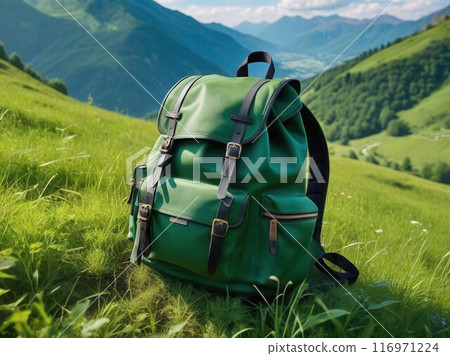 Hiking backpack during trek in mountains. Camping and trekking equipment 116971224