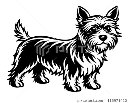 cairn terrier dog full body icon. Black and white logo, engraving style. cairn terrier dog full body icon. Black and white logo, engraving style. 116971410