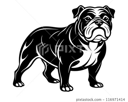 bulldog dog full body icon. Black and white logo, dog silhouette, engraving style. Pet character. 116971414