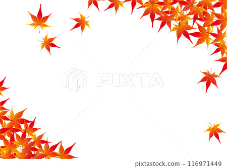 Beautiful autumn leaves frame background 12 Beautiful autumn leaves frame background 12 116971449
