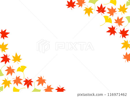 秋葉楓樹和銀杏框背景 16 秋葉楓樹和銀杏框背景 16 116971462