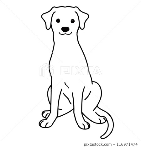 坐著的羅德西亞脊背犬的插圖，僅主線 116971474