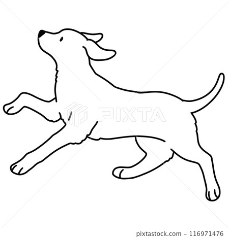 Illustration of a running Rhodesian Ridgeback (main lines only) 116971476