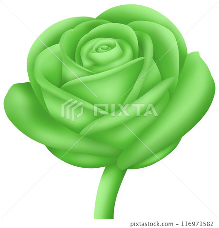 Green rose isolated on white Green rose isolated on white 116971582