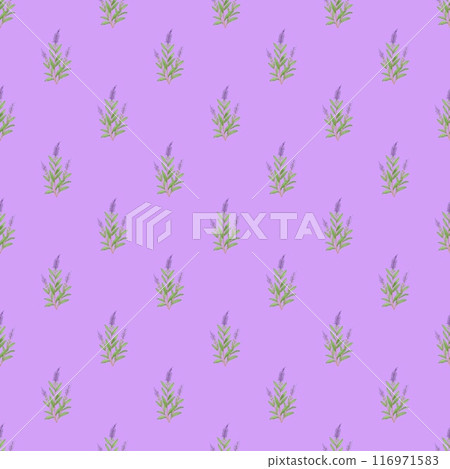 seamless pattern with flowers  116971583