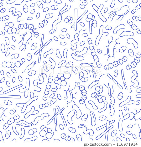 Vector doodle pattern of different bacteria in gut microbiome. Vector doodle pattern of different bacteria in gut microbiome. 116971914