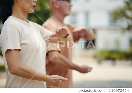 Practicing Tai Chi in Outdoor Urban Space with a Friend 116972424