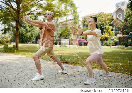 Practicing Tai Chi in Outdoor Park Setting 116972436