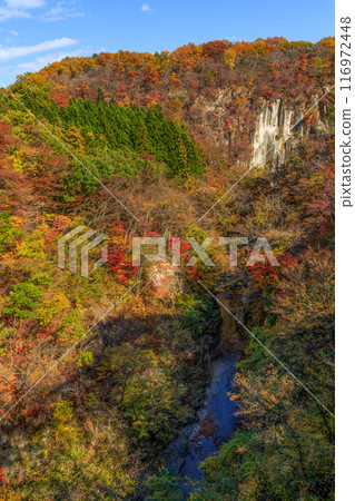 Autumn view from Yukiwari Bridge (Saigo Village, Nishishirakawa District, Fukushima Prefecture, Japan) 116972448